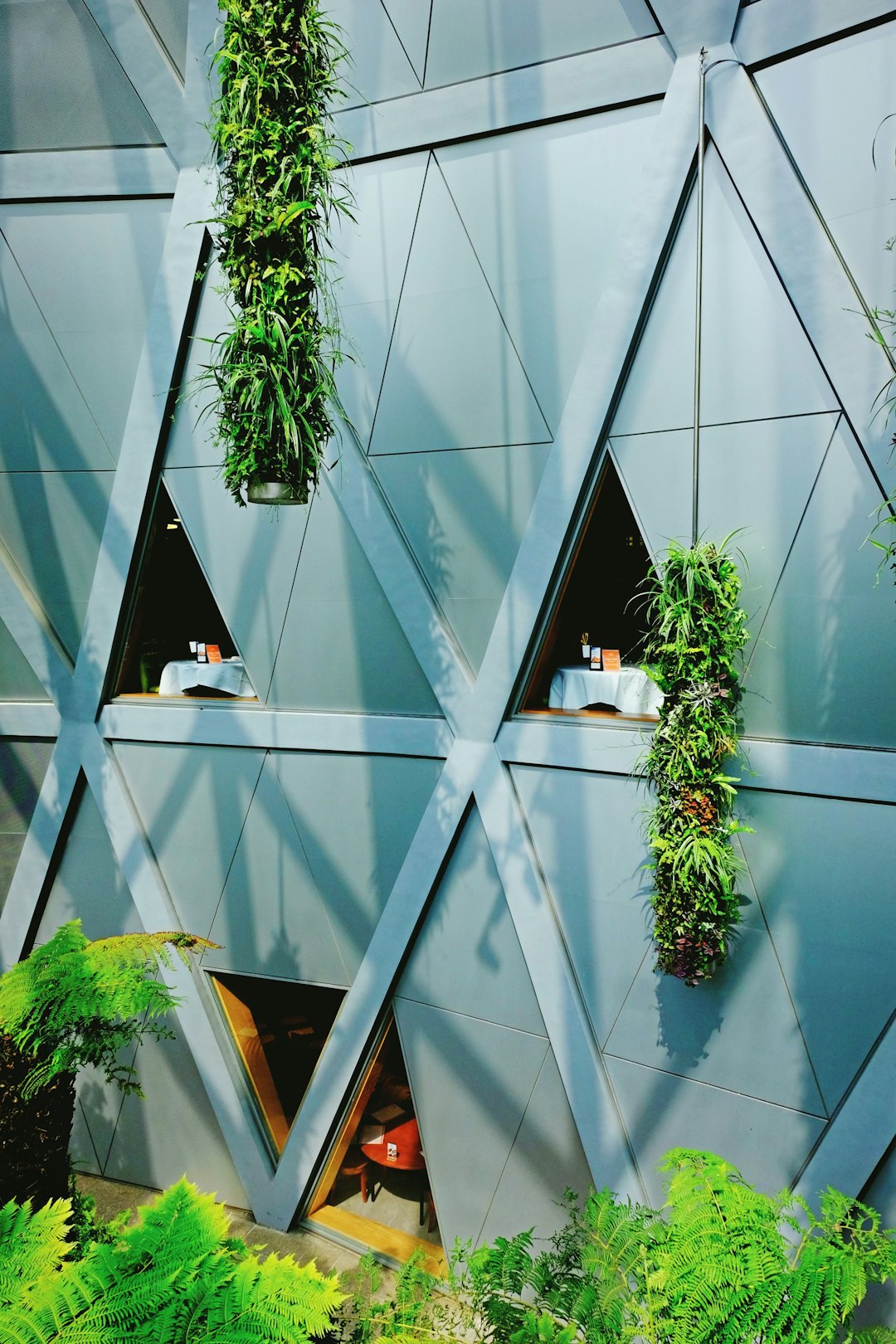 LEED Platinum Office